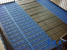 �B(y��ng)�i�O(sh��)��14