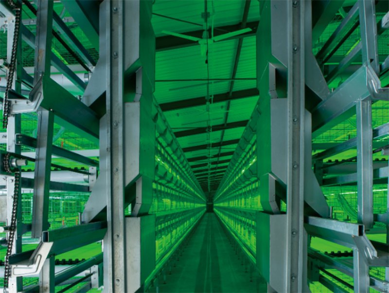 ȫ�Ԅ�(d��ng)�B(y��ng)�u�O(sh��)��-���u