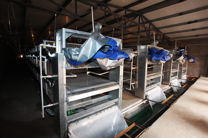 �Ԅ�(d��ng)��Sϵ�y(t��ng)6