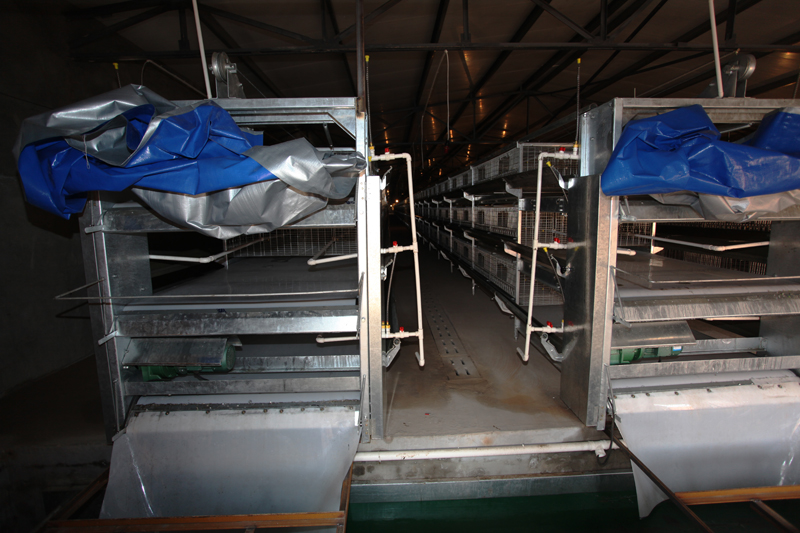 �Ԅ�(d��ng)��Sϵ�y(t��ng)8